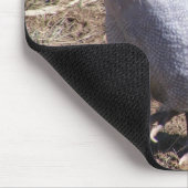 ラベンダーのホロホロ鳥 マウスパッド (コーナー)