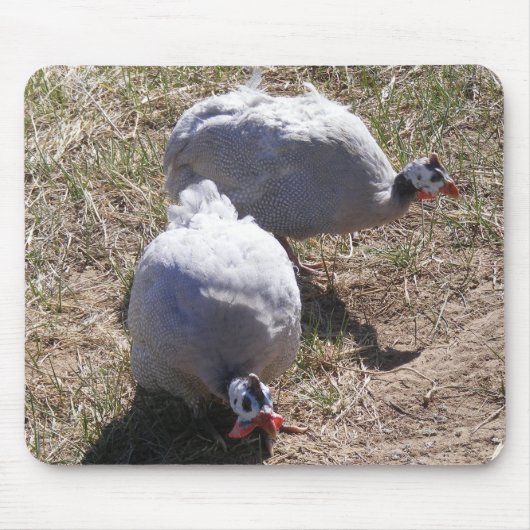 ラベンダーのホロホロ鳥 マウスパッド (正面)