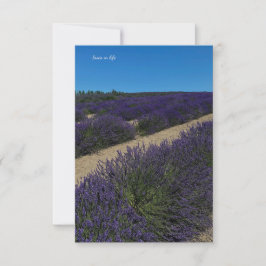 ラベンダーの列の丘 ノートカード