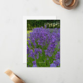 ラベンダーの列、木の列 ノートカード (正面/裏面インサイチュ)