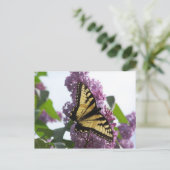 ラベンダーの午後 ポストカード (スタンド正面)