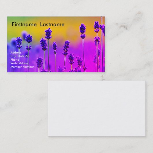 ラベンダーの名刺 名刺 (正面/裏面)