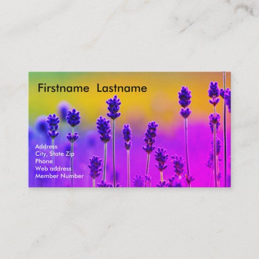 ラベンダーの名刺 名刺 (正面)