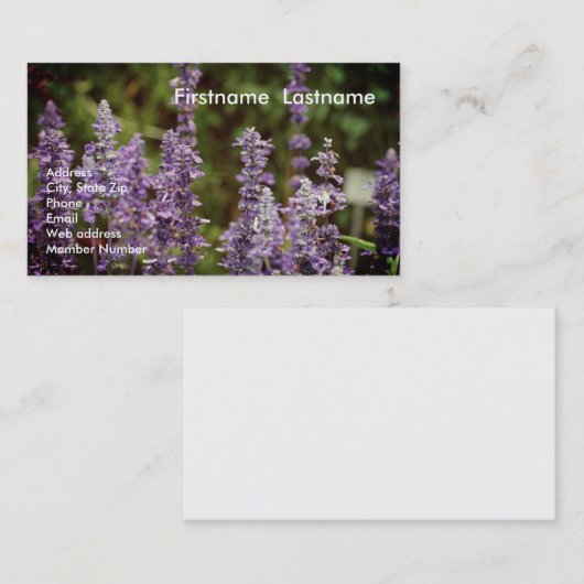 ラベンダーの名刺 名刺 (正面/裏面)