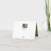 ラベンダーの喜び サンキューカード (裏面)