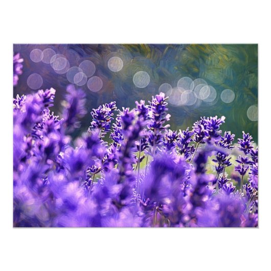 ラベンダーの夢 フォトプリント            (正面)
