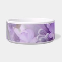 ラベンダーの夢