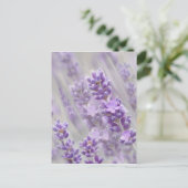 ラベンダーの夢。 ポストカード (スタンド正面)