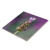 ラベンダーの小さな断片 タイル (側面)