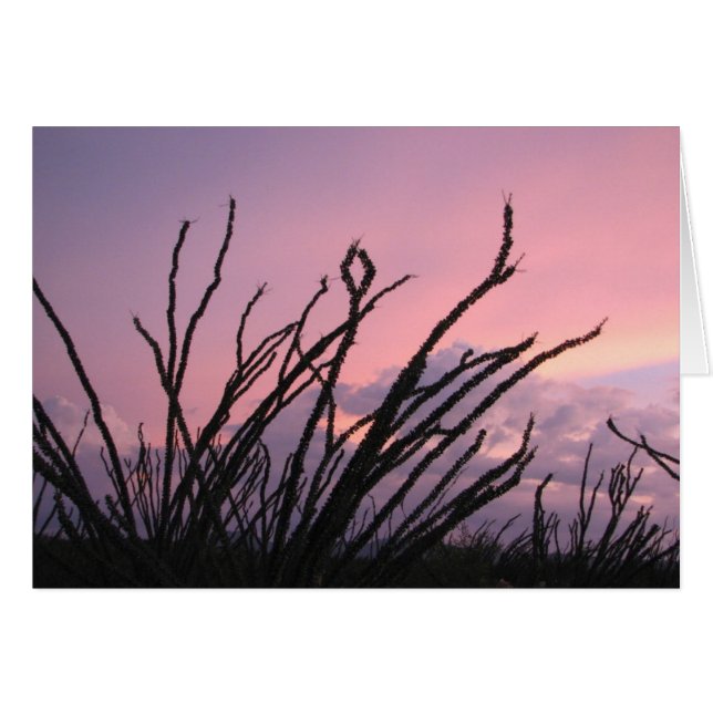 ラベンダーの日没 (正面横)