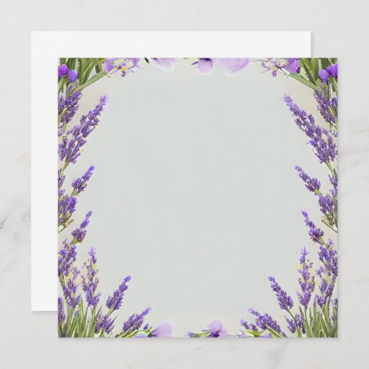 ラベンダーの水の色のフレーム淡い色のオリーブの背景 (正面/裏面)