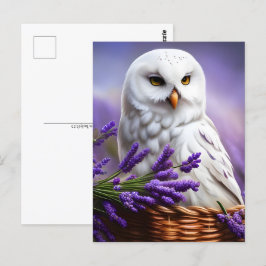 ラベンダーの白いフクロウ、ポストクロッシング ポストカード
