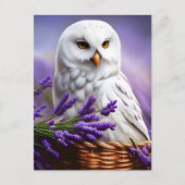 ラベンダーの白いフクロウ、ポストクロッシング ポストカード (正面)