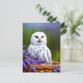 ラベンダーの白いフクロウ、ポストクロッシング ポストカード (スタンド正面)