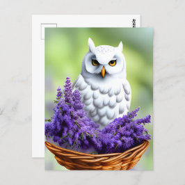 ラベンダーの白いフクロウ、ポストクロッシング ポストカード