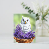 ラベンダーの白いフクロウ、ポストクロッシング ポストカード (スタンド正面)