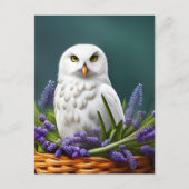 ラベンダーの白いフクロウ、ポストクロッシング ポストカード (正面)