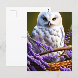ラベンダーの白いフクロウ、ポストクロッシング ポストカード