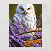 ラベンダーの白いフクロウ、ポストクロッシング ポストカード (正面)