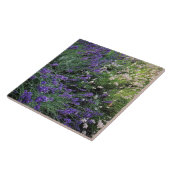 ラベンダーの種類 タイル (側面)