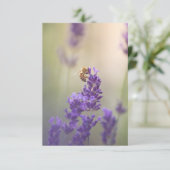 ラベンダーの花とミツバチの自然写真 カード (スタンド正面)