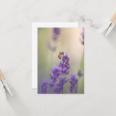 ラベンダーの花とミツバチの自然写真 カード (正面/裏面インサイチュ)