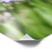 ラベンダーの花とモナーク蝶の写真 フォトプリント            (角)