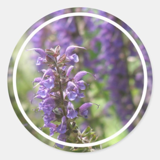 ラベンダーの花のステッカー ラウンドシール (正面)