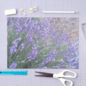 ラベンダーの花のティッシュペーパー|の自然の写真撮影 薄葉紙 (クラフト)