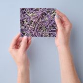 ラベンダーの花のパターン チラシ (手)