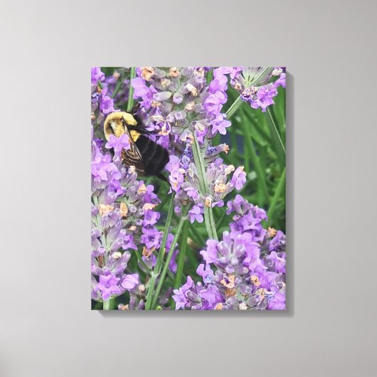 ラベンダーの花の上の蜂 キャンバスプリント (正面)