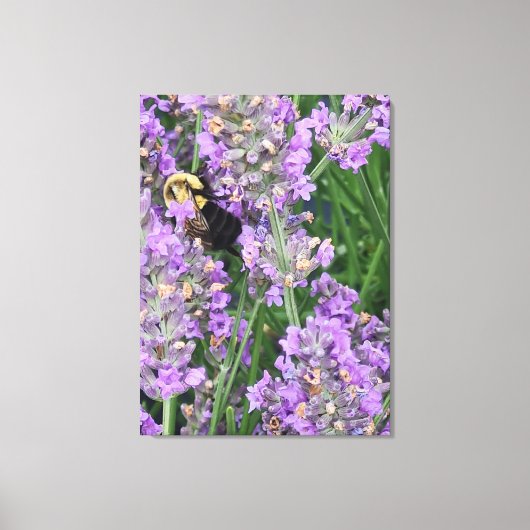 ラベンダーの花の上の蜂 キャンバスプリント (正面)
