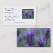 ラベンダーの花の写真の名刺 名刺 (正面/裏面)