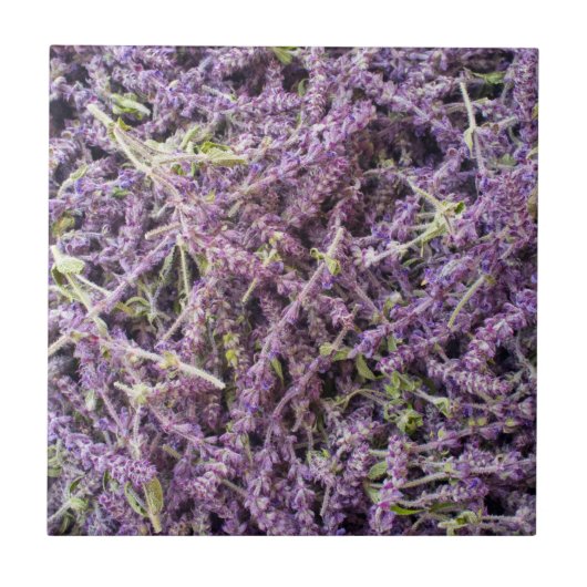 ラベンダーの花の模様 タイル (正面)