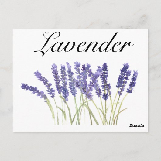 ラベンダーの花の水色のハーブ紫シック ポストカード (裏面)