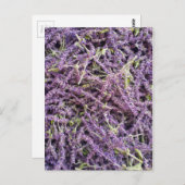 ラベンダーの花パターン ポストカード (正面/裏面)