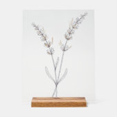 ラベンダーの花 - シンプルな細線画 アクリルサイン (正面)