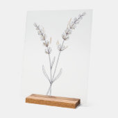 ラベンダーの花 - シンプルな細線画 アクリルサイン (傾斜)