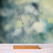 ラベンダーの花 - シンプルな細線画 アクリルサイン (ニュートラル)