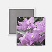 ラベンダーの花 マグネット (正面/裏面)