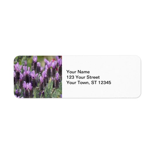 ラベンダーの花 ラベル (正面)