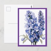 ラベンダーの花 #1 ポストカード (正面/裏面)