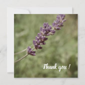 ラベンダーの茎、あなたは私の花のカードになるのだろうか 招待状 (裏面)