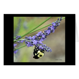 ラベンダーの蜂