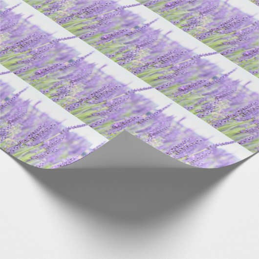 ラベンダーは写真撮影、さまざまなギフトの守備につきます ラッピングペーパー (角)