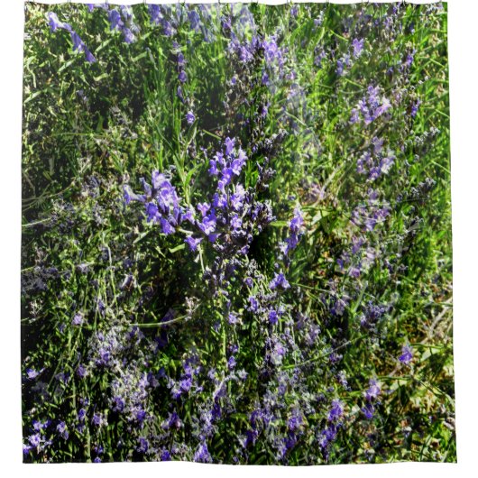 ラベンダーを愛して….. シャワーカーテン (正面)