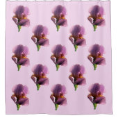 ラベンダーアイリス….. シャワーカーテン (正面)