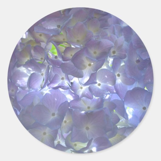 ラベンダーアジサイ紫色の花 ラウンドシール (正面)