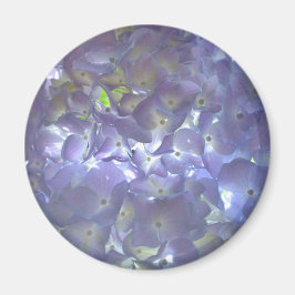 ラベンダーアジサイ マグネット