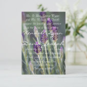 ラベンダーイン開花 招待状 (スタンド正面)